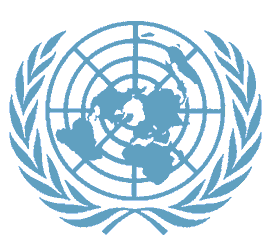 The United Nations 
