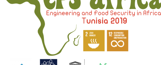 WFEO report on the International Conference on Engineering and Food Security in Africa
