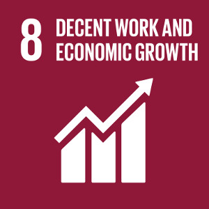 Goal 8: Promote sustained, inclusive and sustainable economic growth, full and productive employment and decent work for all