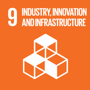 Goal 9: Build resilient infrastructure, promote inclusive and sustainable industrialization and foster innovation
