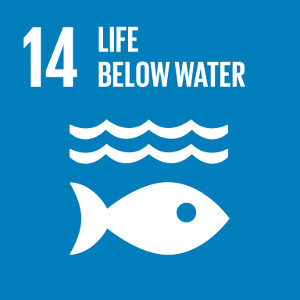 Goal 14: Conserve and sustainably use the oceans, seas and marine resources for sustainable development