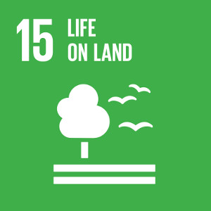 Goal 15: Protect, restore and promote sustainable use of terrestrial ecosystems, sustainably manage forests, combat desertification, and halt and reverse land degradation and halt biodiversity loss