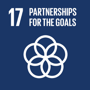Goal 17: Strengthen the means of implementation and revitalize the global partnership for sustainable development