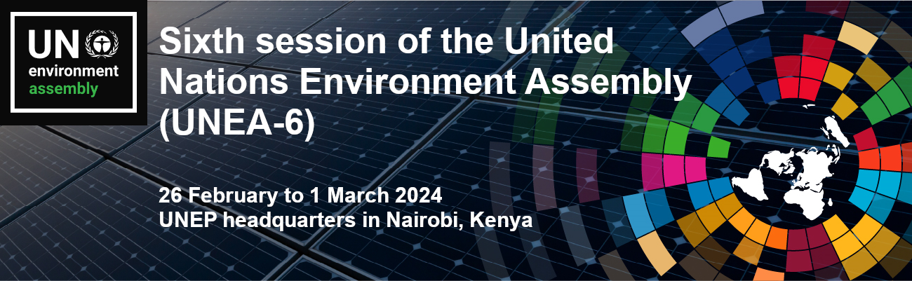 Sixth session of the United Nations Environment Assembly - UNEA-6