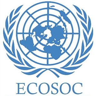 WFEO and ECOSOC