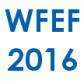 World Future Energy Forum (WFEF) 2016 successfully held in Beijing