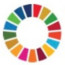 Report on WFEO side event of HLPF 2020