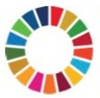 Report on WFEO side event of HLPF 2020