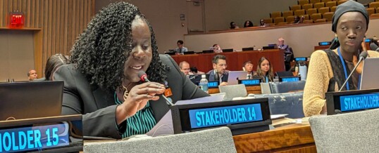 Chair of the WFEO Women in Engineering Committee Delivers Statement on Inclusive Clean Energy Solutions at the United Nations STI Forum